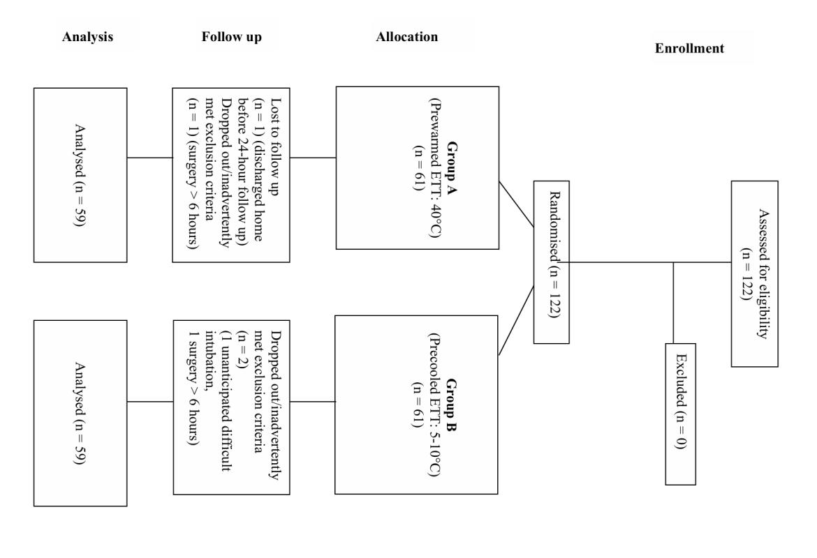 FIGURE 1: Consort flow diagram