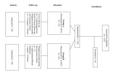 FIGURE 1: Consort flow diagram